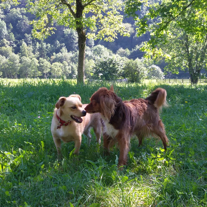 Garni My Ledro | I servizi